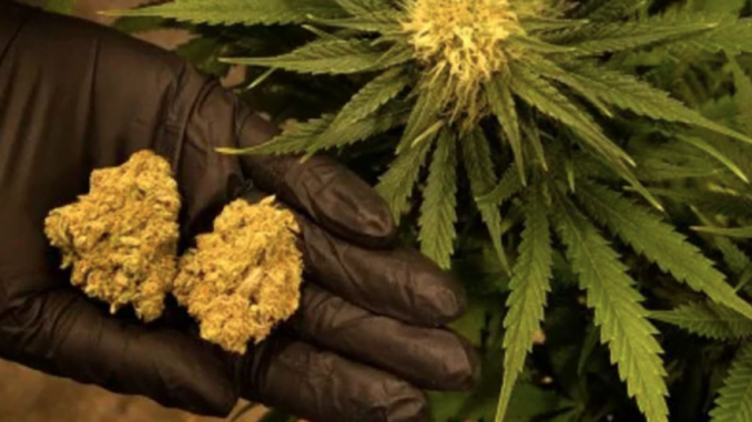duquesa-de-la-droga-a-prision-preventiva-screen-shot-2022-05-01-at-08.50.38