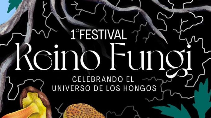 AFICHE FUNGI