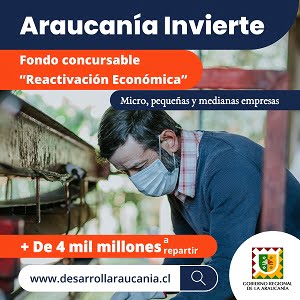 Araucanía Invierte