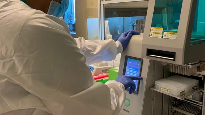 Laboratorio_PCR