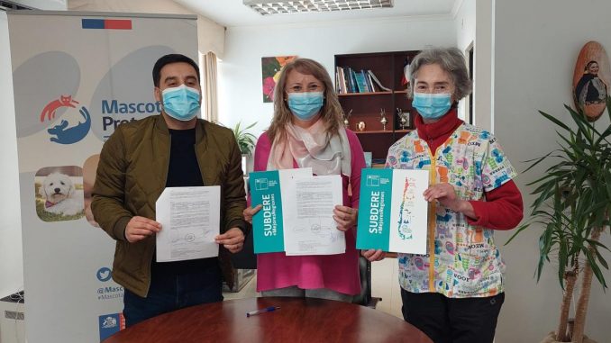 VeterinariaMunicipal1