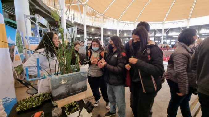 UST- Festival de ciencias