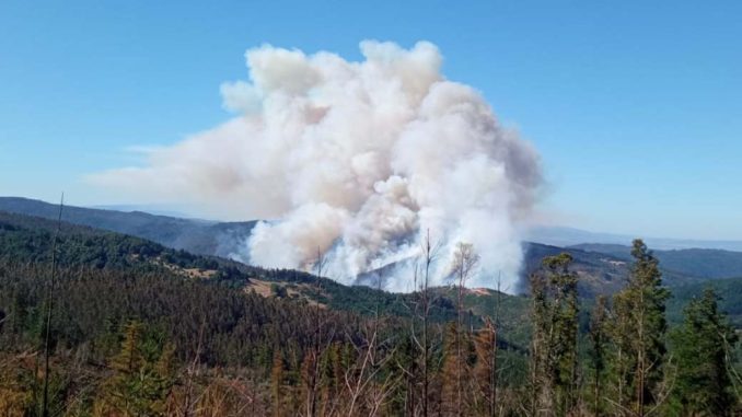 INCENDIOS0201