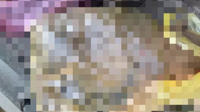 20230612_064326_147
