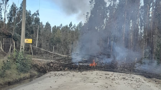 motorista-muere-arbol-barricada-cholchol