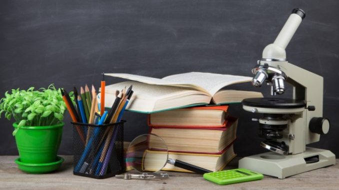 educacion-concepto-e1536242678466-800x400