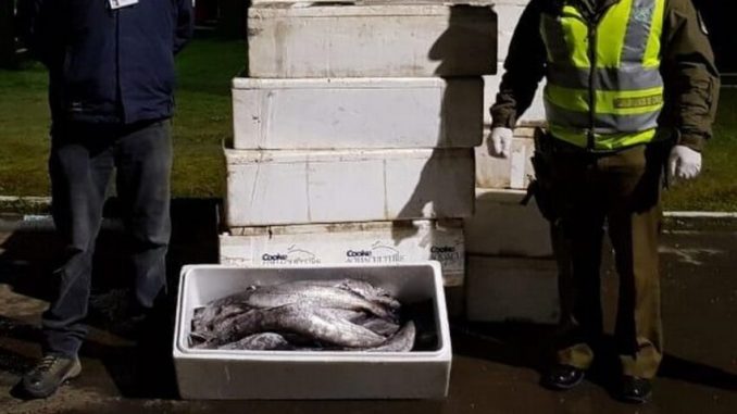 Sernapesca-Carabineros-850x560