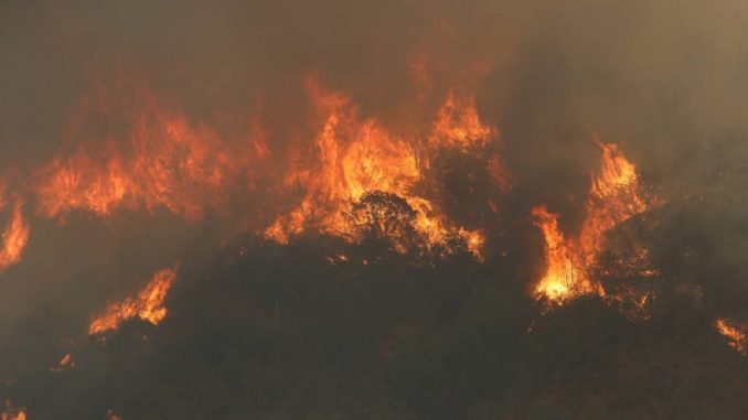 05-122123_24ez_Incendio-Forestal-vale-ok-ok-880x500
