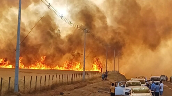 foto-por-incendio-forestales-y-evacuacion-total-en-galvarino-750x400