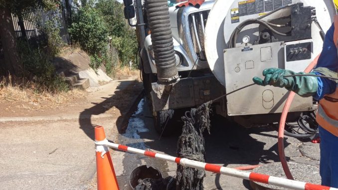 extracción colector