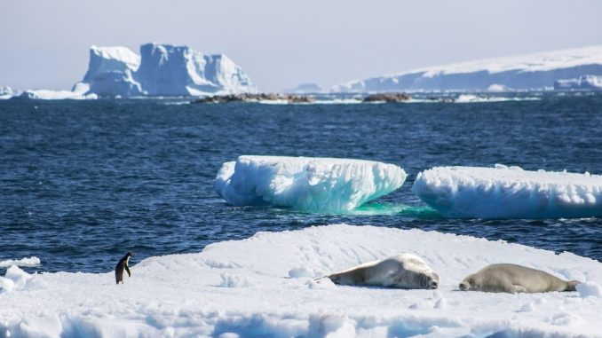 antartica
