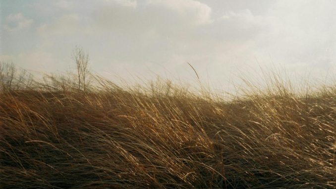 viento-pexels-scaled
