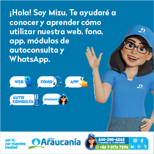 Mizu 2024 Aguas Araucanía