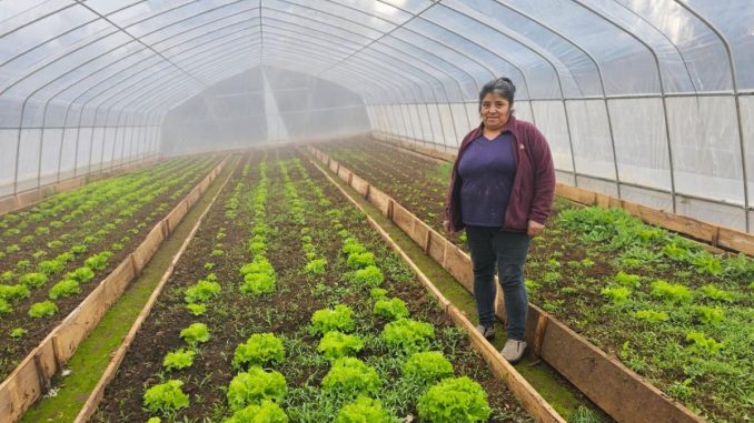 FOTO potencian emprendimientos femeninos 1