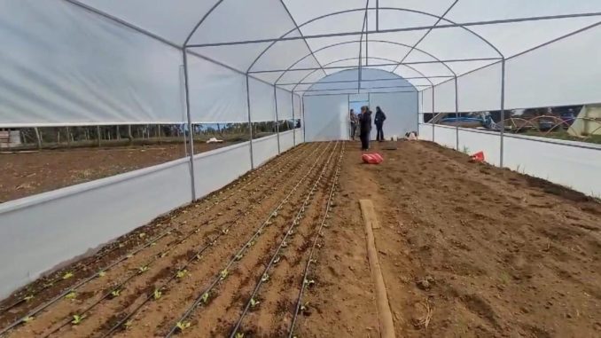 FOTO destacan agricultura familiar proyecto gore 1