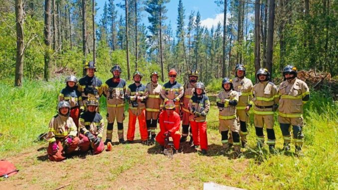 Capacitacion-Bomberos-Araucania-5-800x600