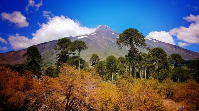 PN-Villarica-11