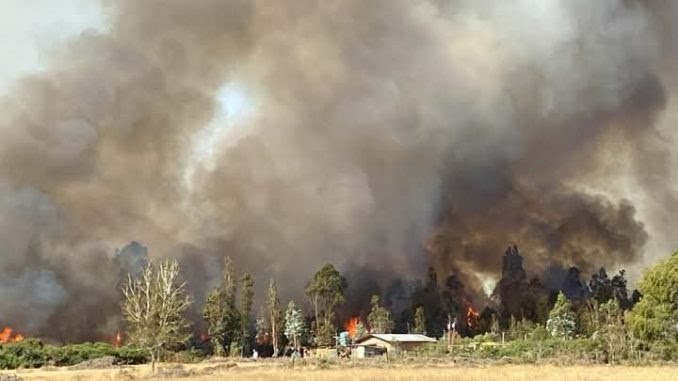 senapred-declara-alerta-amarilla-para-la-araucania-por-incendios-forestales