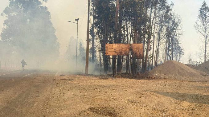 incendio-en-pitrufquen-deja-dos-bomberos-lesionados-y-obliga-a-evacuar-sector-polun
