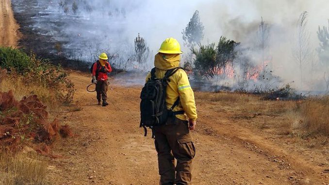 incendio-forestal