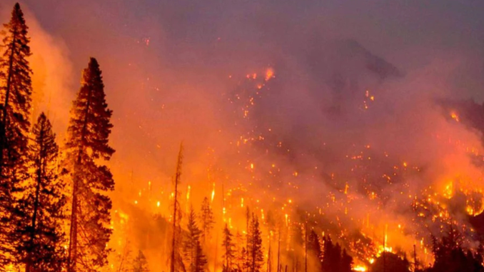 5JBN7KRKVBGPPEMC2HAWRI2HUM