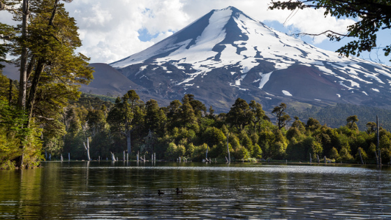 volcanllaima
