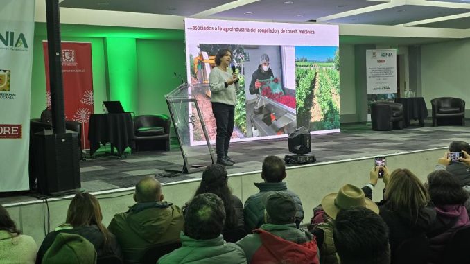 Seminario Berries
