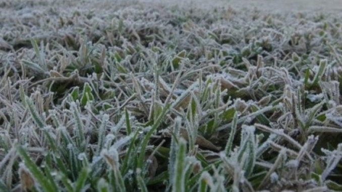 20190701102826_helada_en_pasturas_678x381