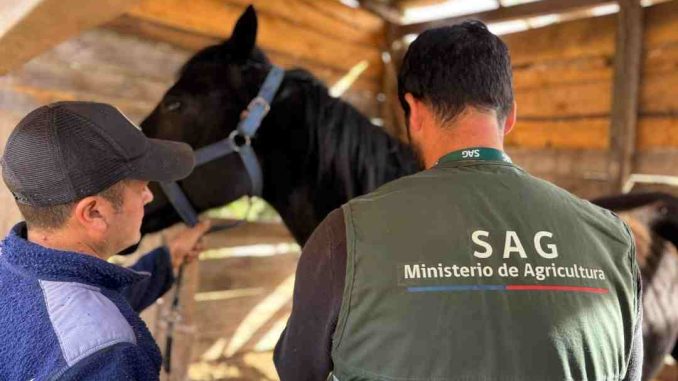 SAG-confirma-septimo-caso-de-Anemia-Infecciosa-Equina-en-Nuble-y-refuerza-llamado-a-realizar-manejo-preventivos-