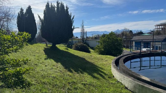02. Villarrica