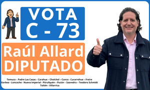 Allard diputado