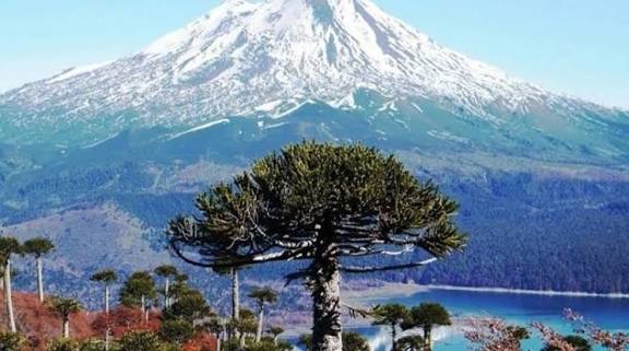 images (12)